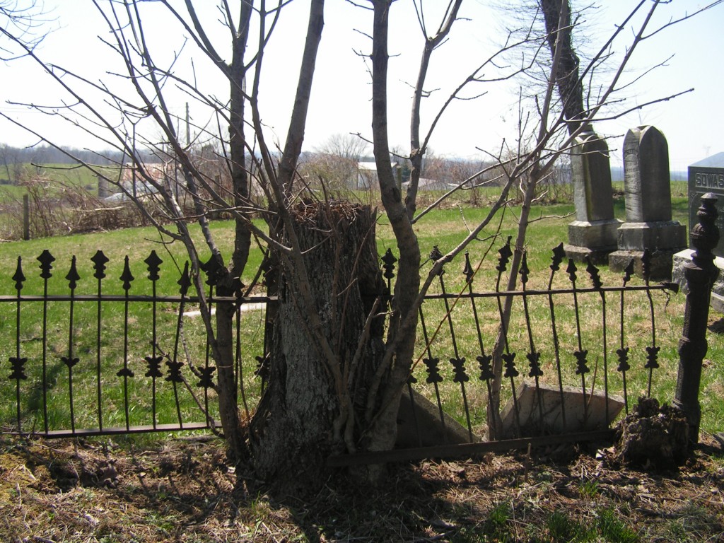 Elliott Cemetery Fence2
