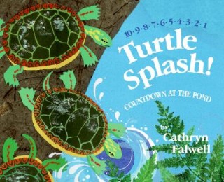 Turtle Splash! Countdown at the Pond StoryWalk @ Holmes County District Public Library | Millersburg | Ohio | United States