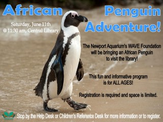 African Penguin Adventure @ Central Library | Millersburg | Ohio | United States