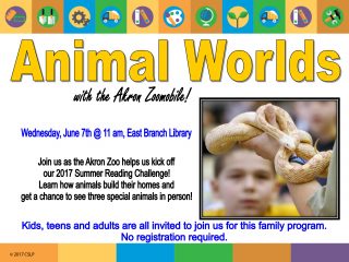 Akron Zoomobile: Animal Worlds @ East Branch Library | Walnut Creek | Ohio | United States