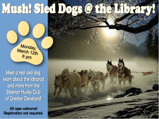 Mush! Sled Dogs @ the Library! @ Central Library | Millersburg | Ohio | United States